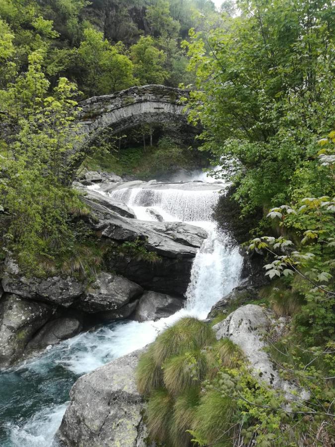 La Stella Delle Alpi Ξενοδοχείο Vico Canavese Εξωτερικό φωτογραφία